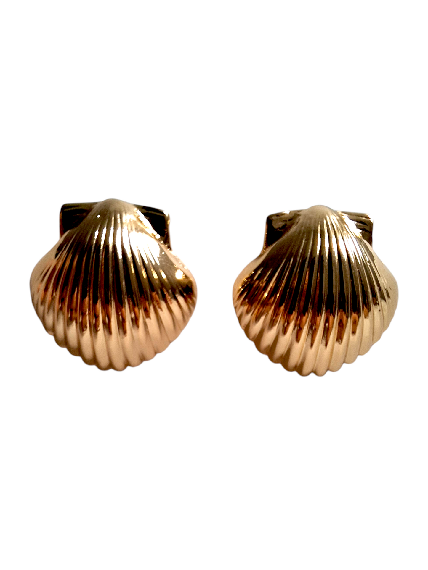 Pendientes de conchas