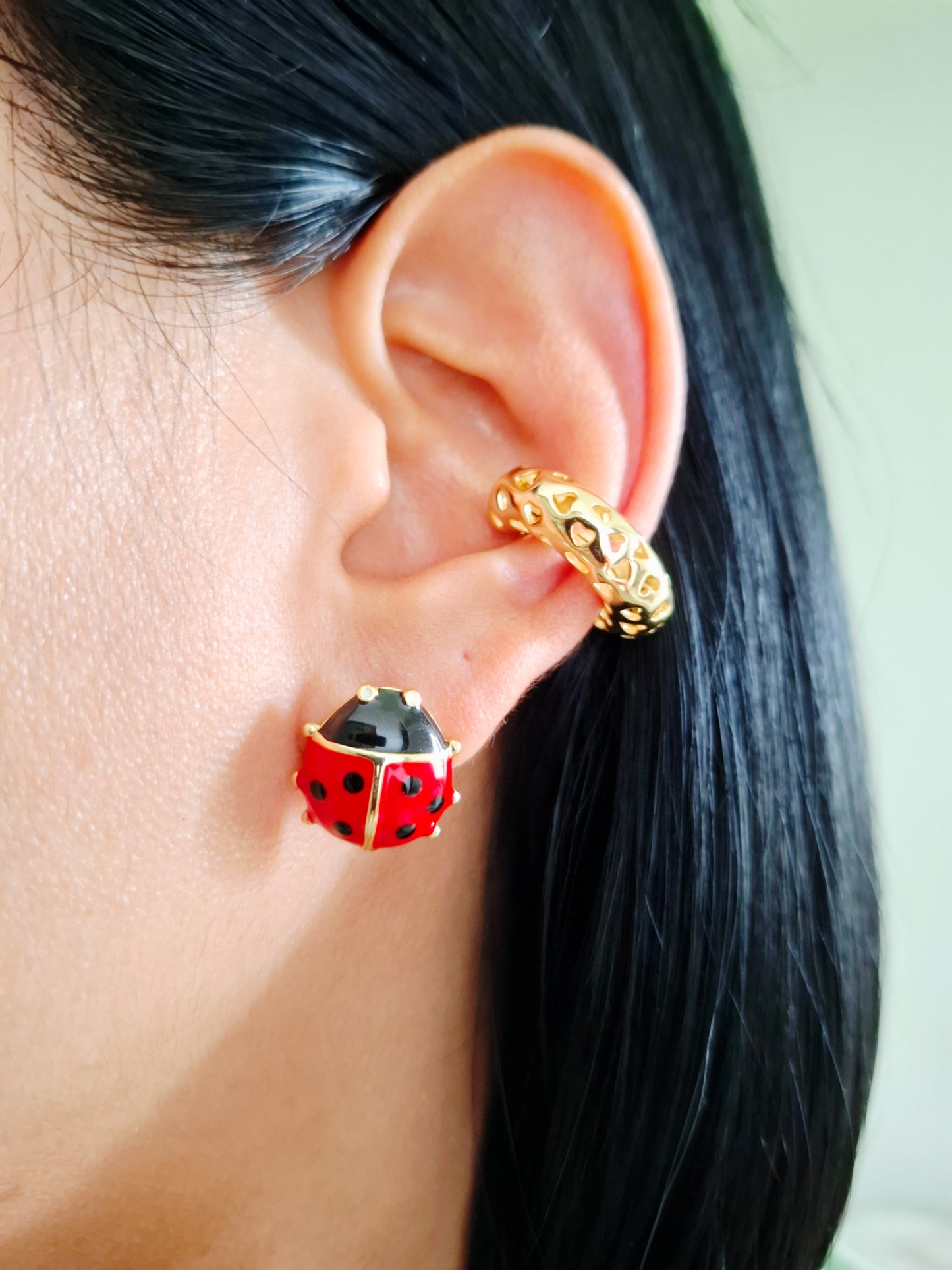 Pendientes de mariquitas