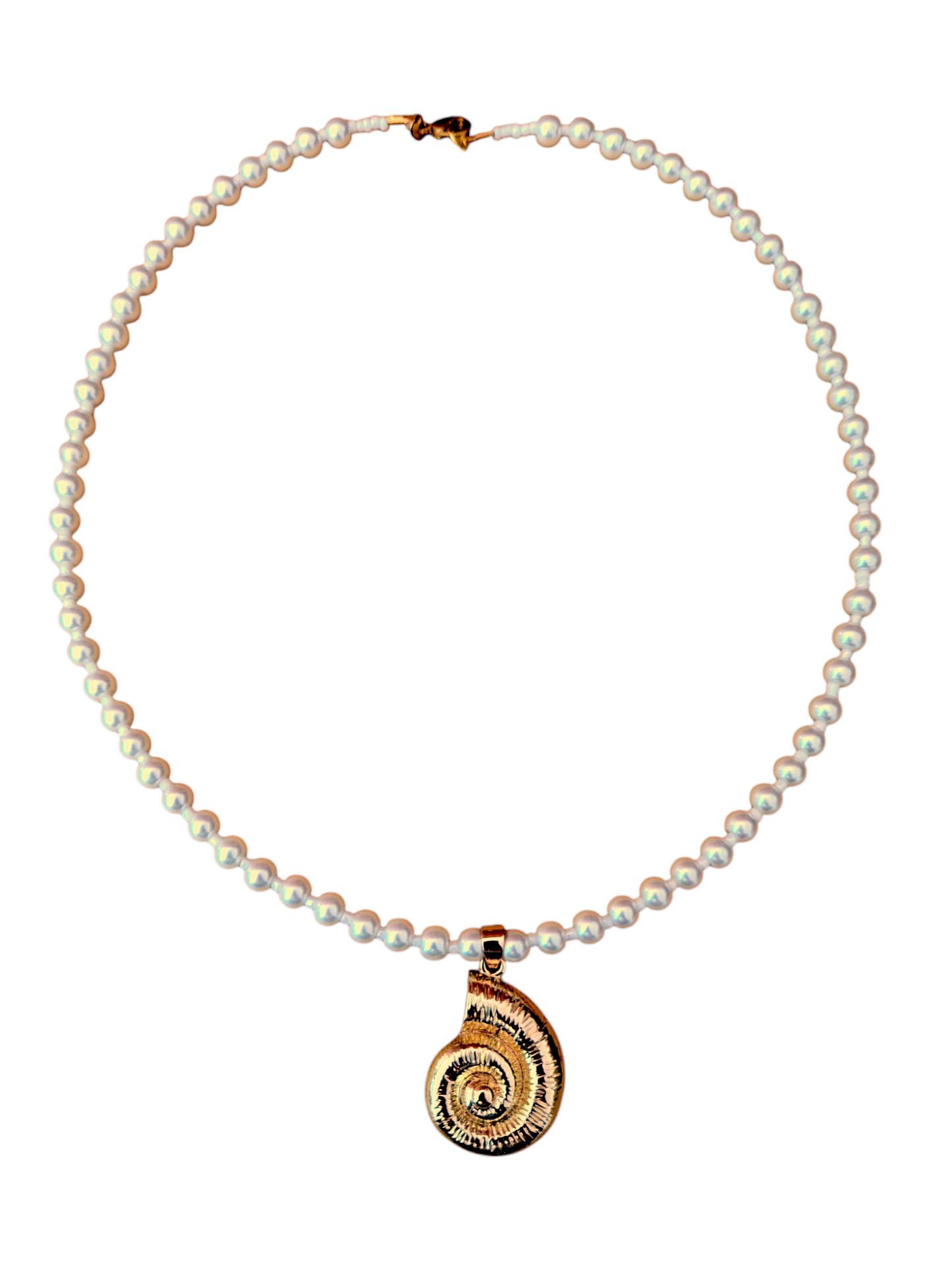 Collar de conchas marinas