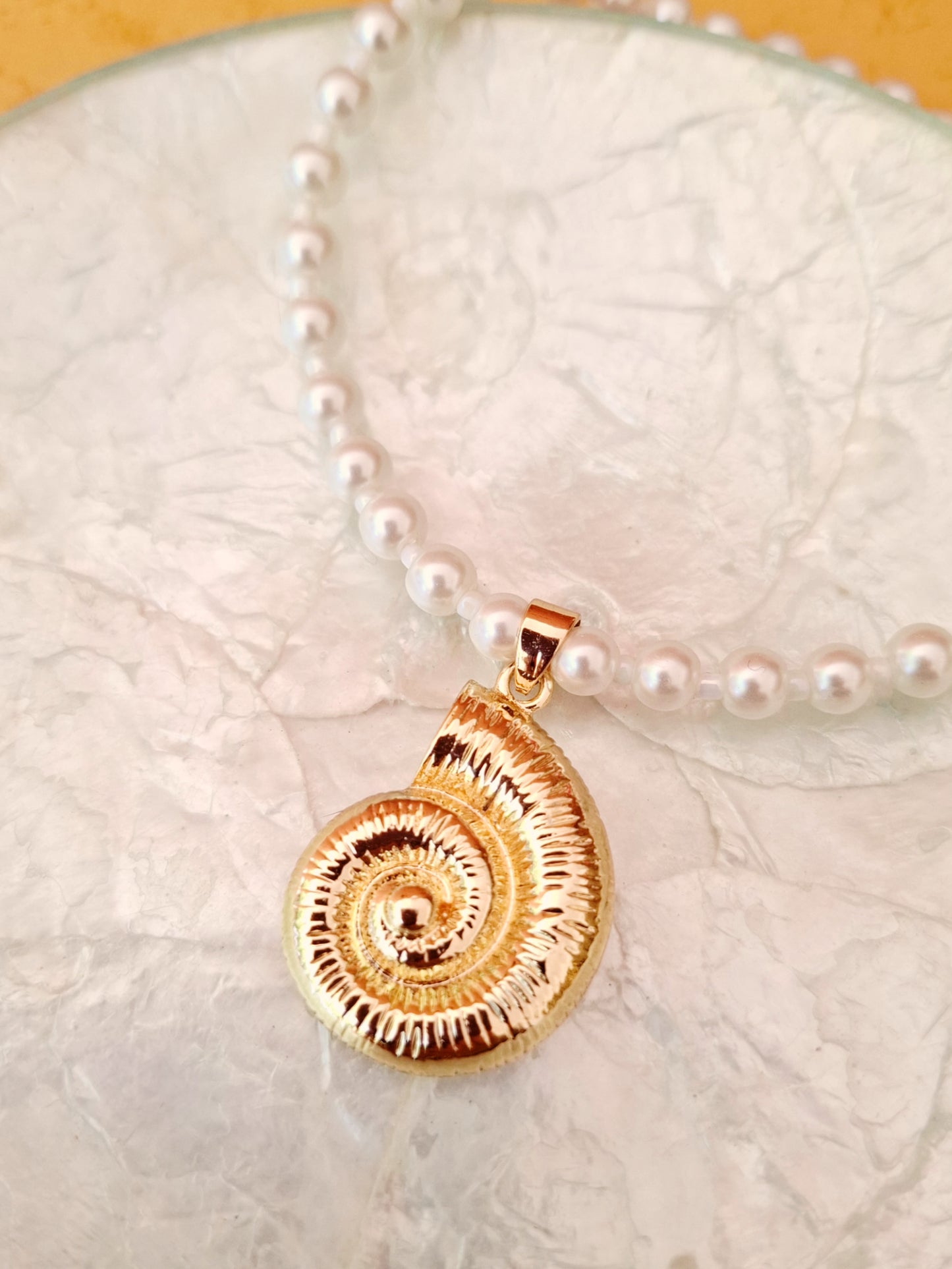 Collar de conchas marinas