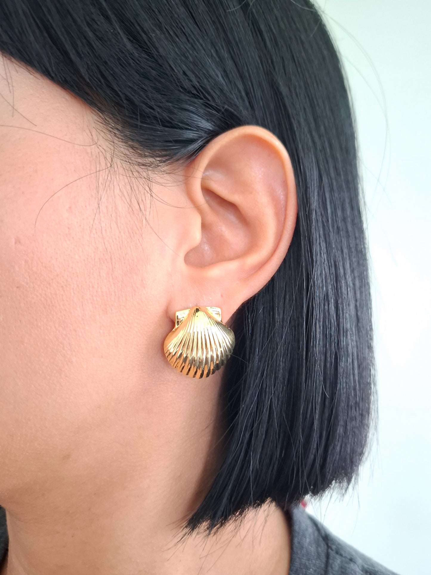 Shells Earrings