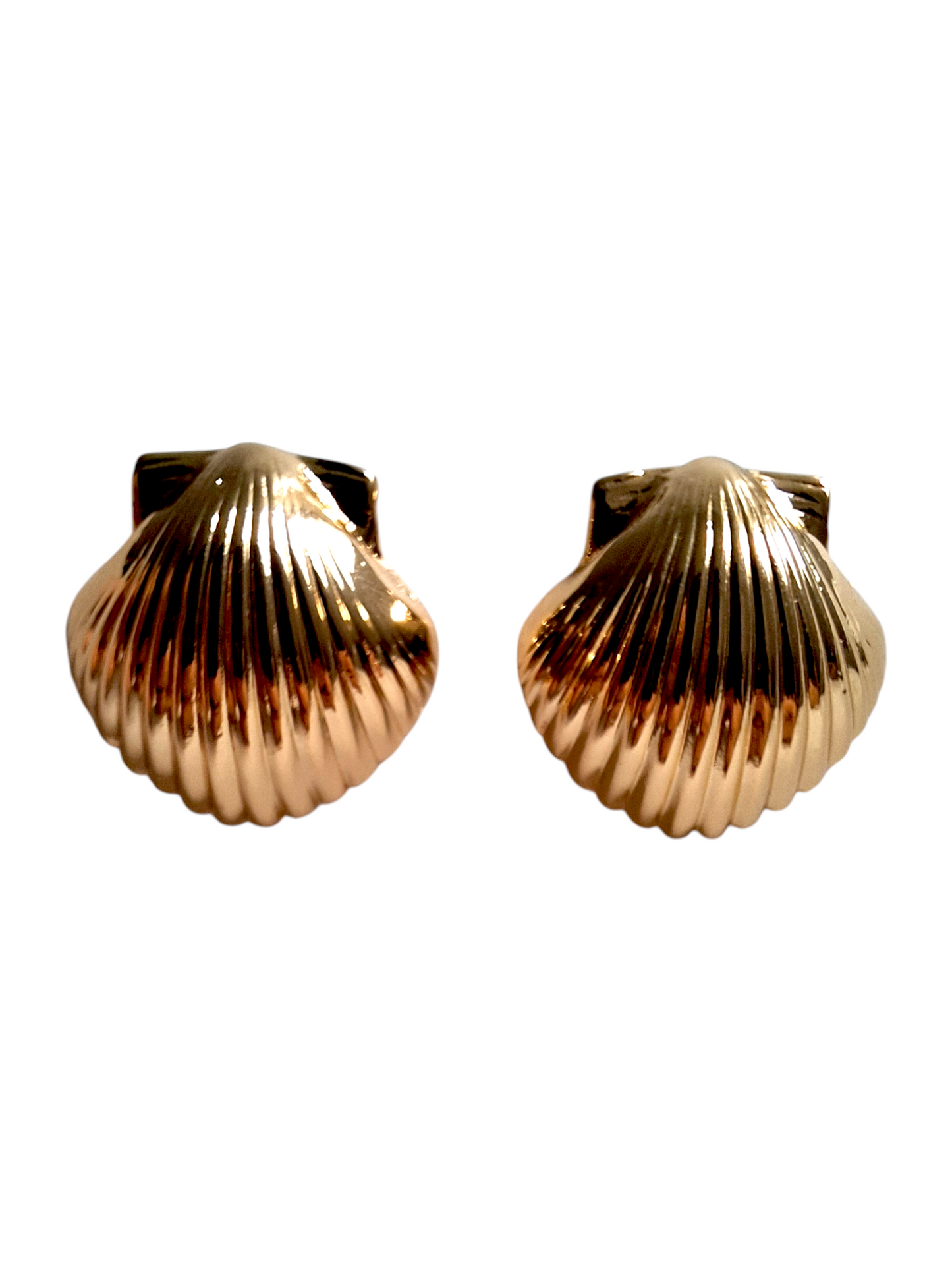 Shells Earrings